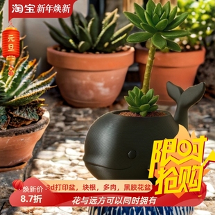 加厚胖胖海豚仙人球可爱花盆3d打印桌面绿植秋海棠块根肉肉芦荟盆