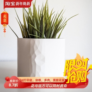 多边形“未定”块根仙人球花盆3d打印桌面绿植秋海棠龙舌兰肉肉盆