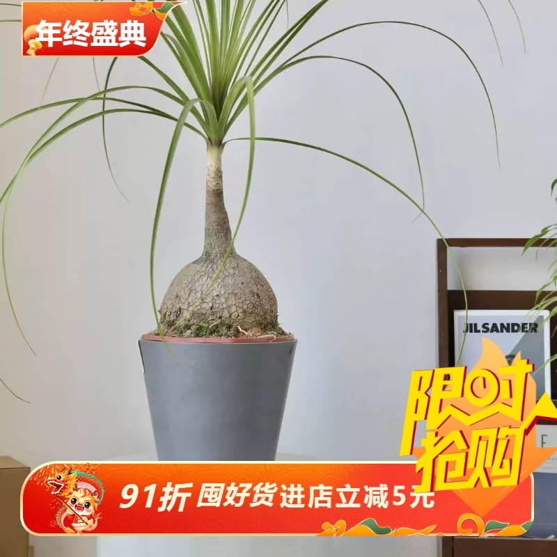 加厚simpots日本黑胶盆ins极简冷淡风盆抗粉化块根绿植多用途花盆