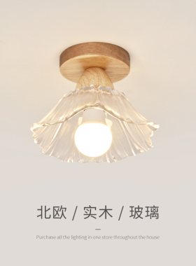 走道灯走廊灯原木风阳台灯具现代简约楼梯入户玄关LED吸顶灯P271