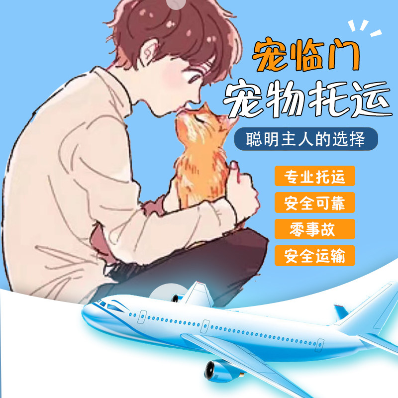 宠物托运服务全国际猫咪狗狗空运汽运输火车上海广州北京深圳专车