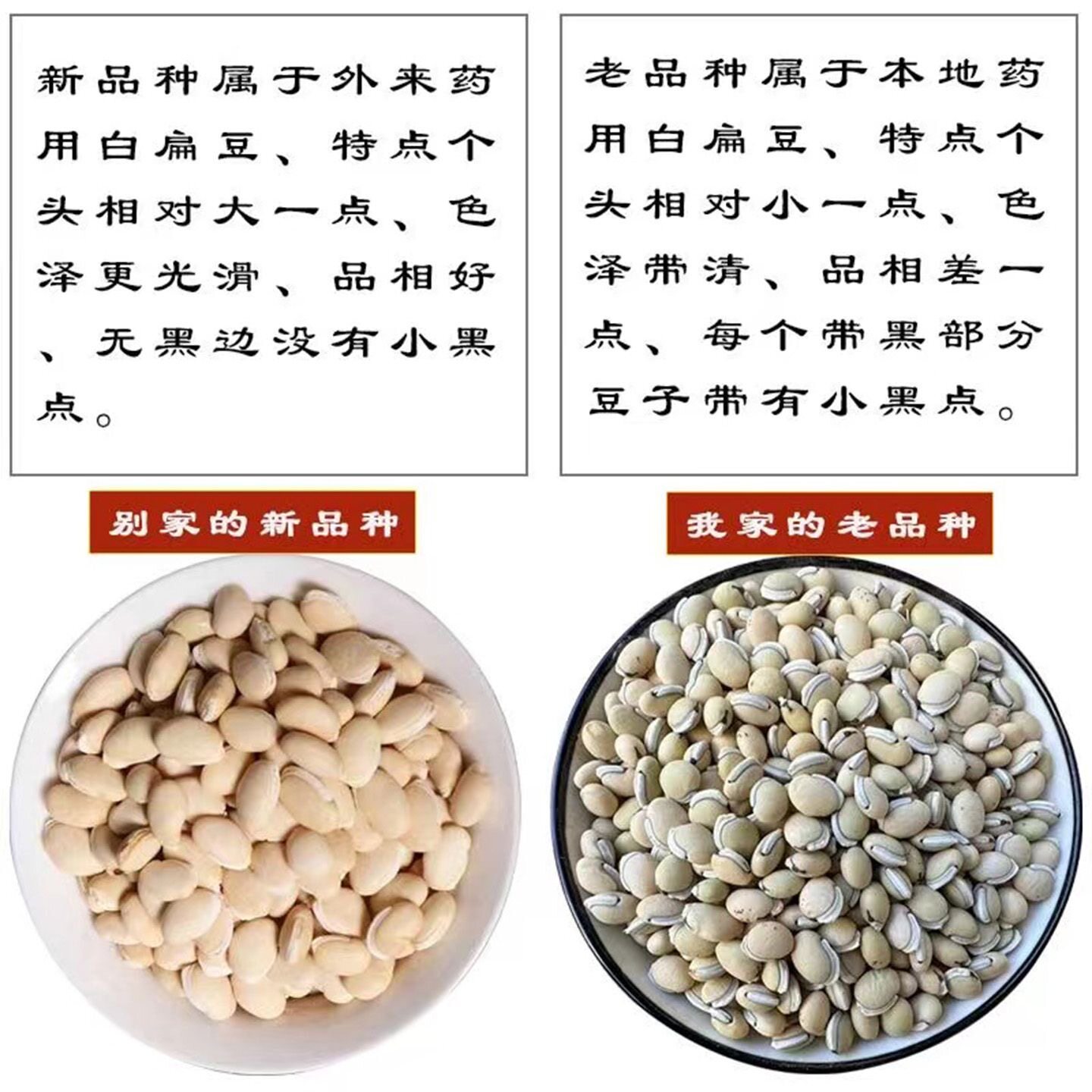 新货白扁豆农家自产白豇豆白豆白饭豆打豆浆豆类五谷杂粮粗粮煲汤