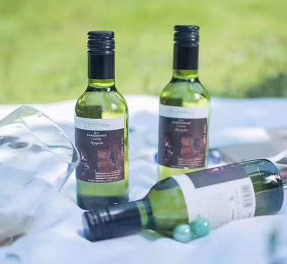 智利原瓶进口霞多丽白葡萄酒舞蹈家莎当妮干白187ml整箱24支装