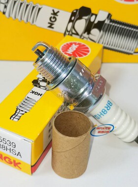 NGK火花塞BR8HSA适用 两冲程船外机水星百胜对应B8HSA B8HS