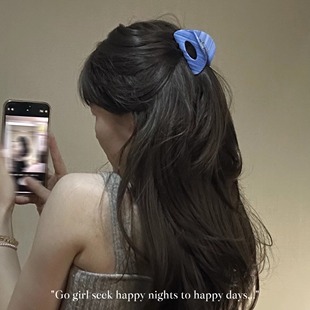 后脑勺鲨鱼夹 蓝色系醋酸蓝色条纹发夹通勤法式 蓝色海洋