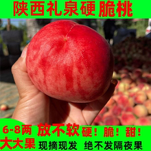 陕西礼泉脆桃秦王阿富白当季水果桃王毛桃脆甜新鲜水蜜桃子红不软