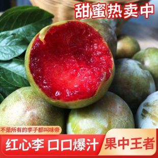 香甜味红心李襄阳本地产李子农家露天自然成熟