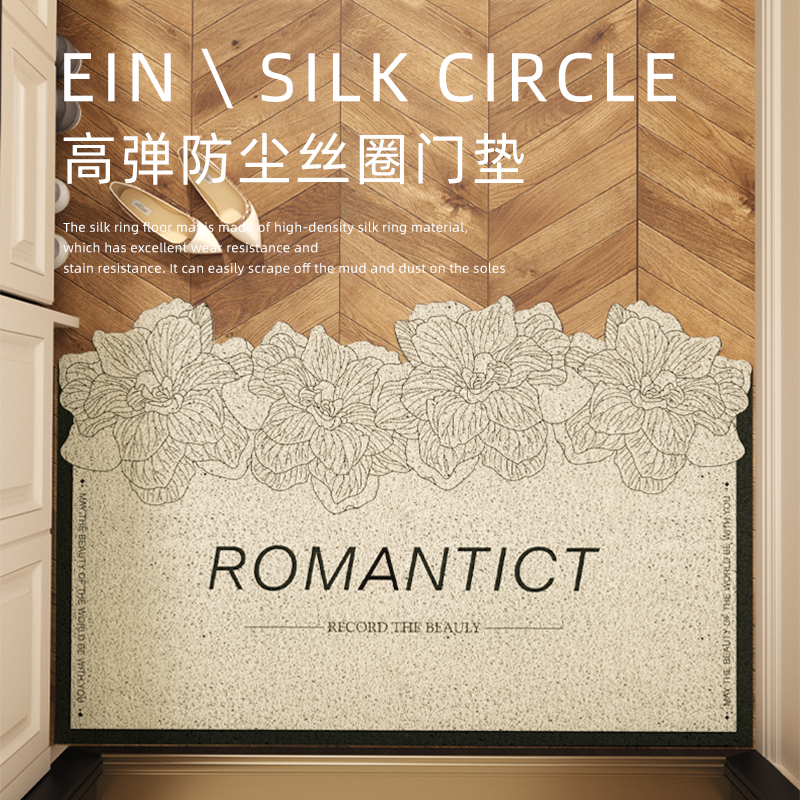 丝圈地垫异形入户垫免洗脚垫
