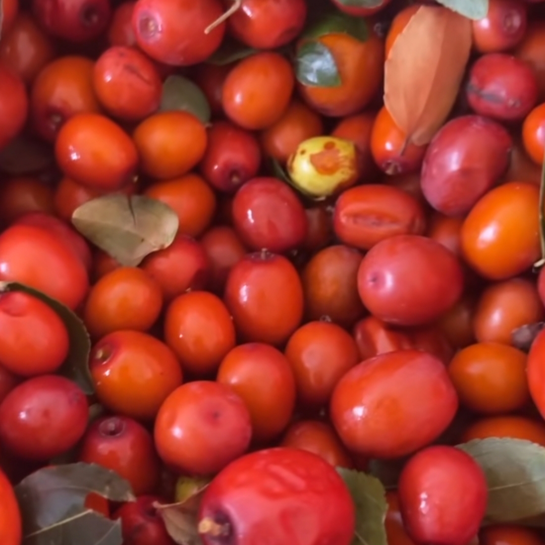 2025新酸枣野生小酸枣山枣零食500g孕妇沙枣泡茶泡酒