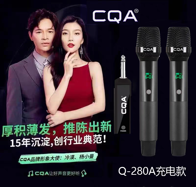 CQA无线调频双麦克风内置接收板一拖二KTV舞台直播演讲话筒