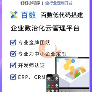 百数搭建百数低代码平台应用定制百数表单一对一技术指导百数答疑