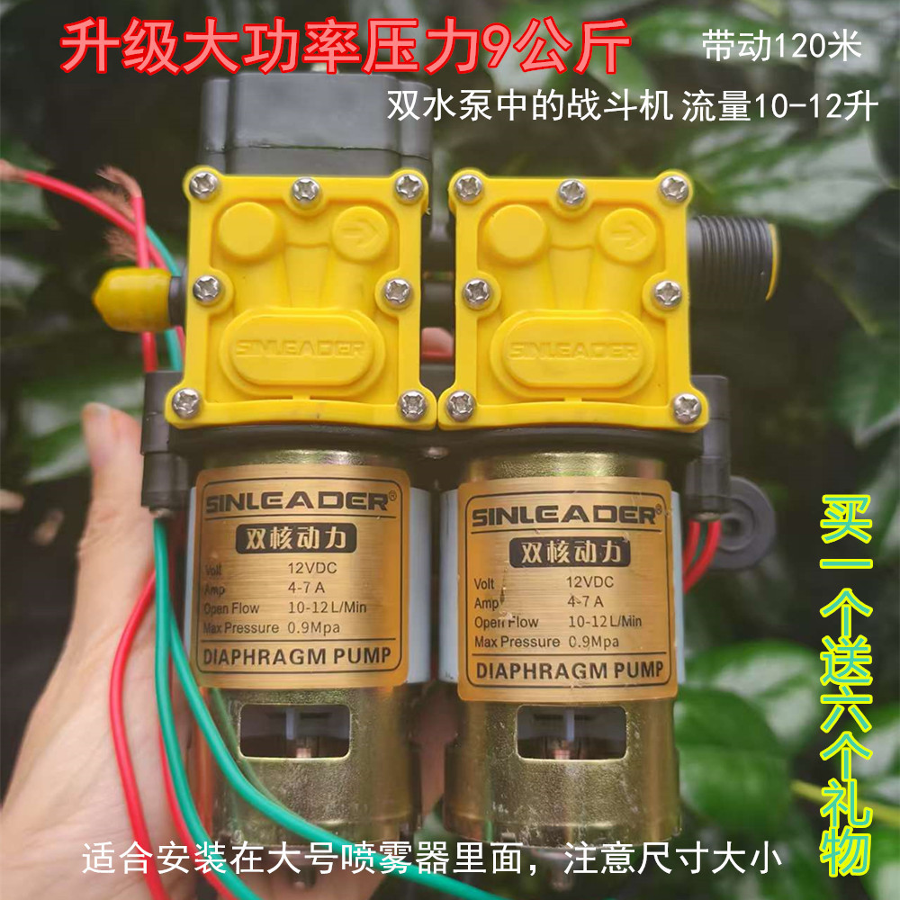 台州信利达12V双核动力水泵 农用电动喷雾器双泵高压回流直流打药