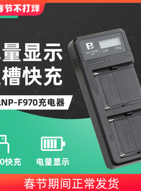 沣标适用索尼NP-F970 F990 F770 FM50 FM500H充电器USB摄照相机电池Type-c双充QC3.0快充F750 F550补光灯电池