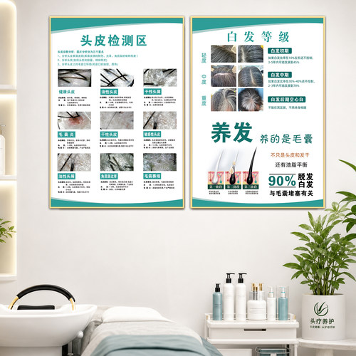 头皮护理海报装饰挂画头皮检测图