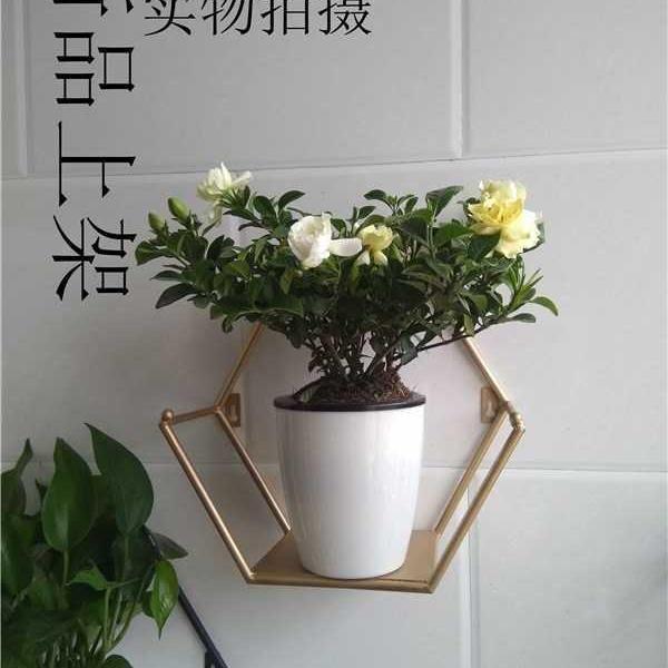 铁艺绿萝上墙六角花架简约创意多花架/花几