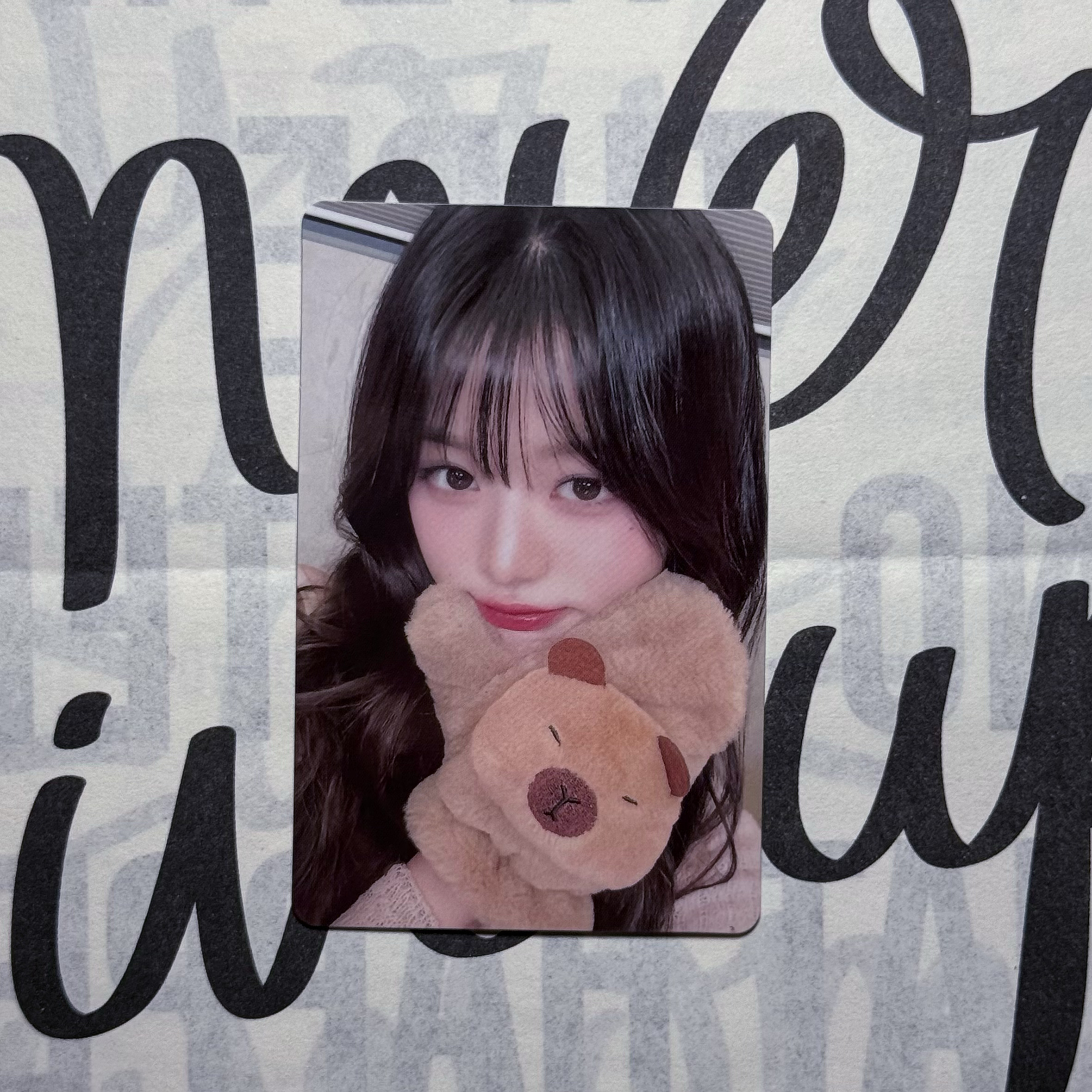 ive芙小卡正品包邮卡皮巴拉yzy3.0签售特典卡 圆 中文卡背 张元英