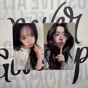 柳智敏小卡正版官卡韩国明星卡片2025生日卡karina柳姐  Rina 柚