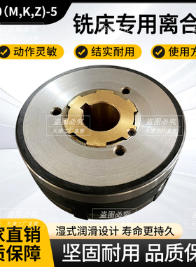 DLM0(M,K,Z)-5铣床专用离合器 DC24V