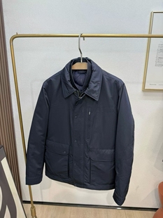 2025秋冬新款三合一可脱卸男士休闲夹克外套短款上衣行政羽绒服