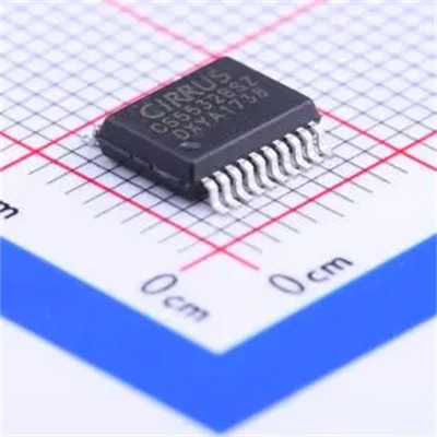 CS5532BSZ SSOP-20-208mil 全新原装