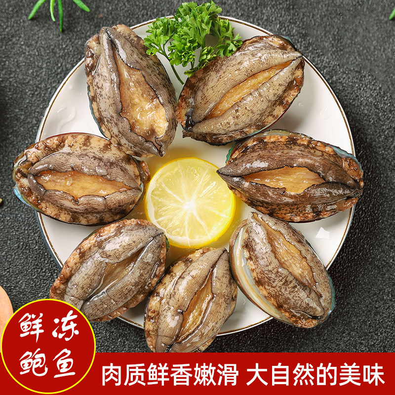 新鲜小鲍鱼35-40头不带壳鲍肉500g海鲜煲汤熬粥美味串串食材冷冻