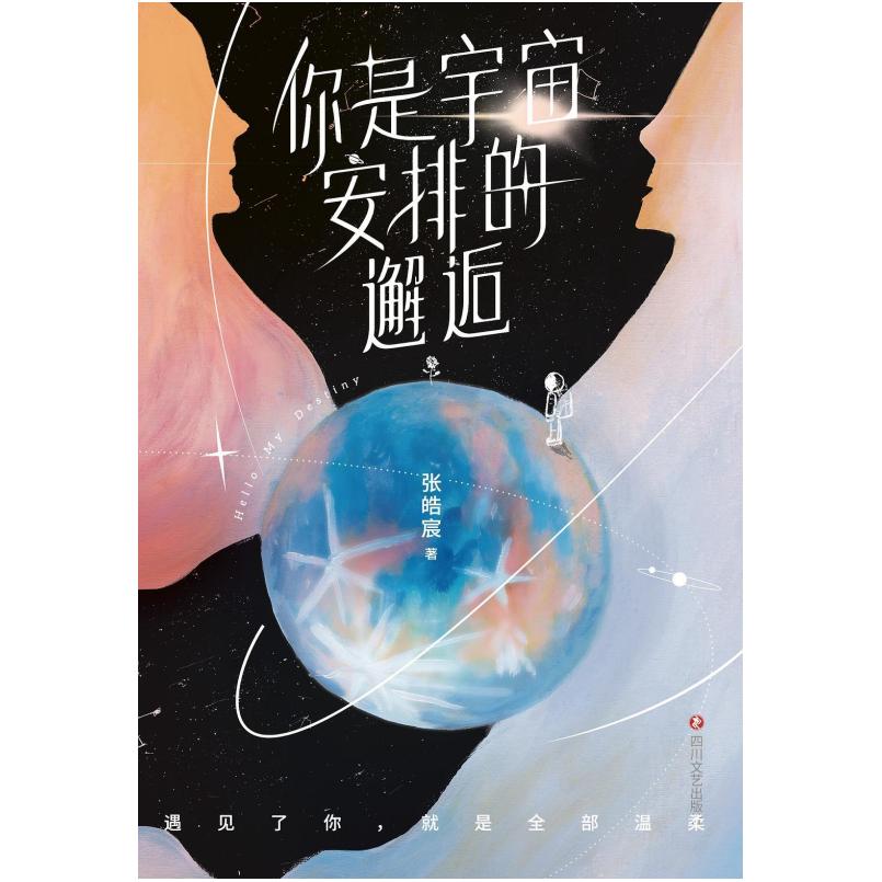 二手你是宇宙安排的邂逅 张皓宸 四川文艺出版社