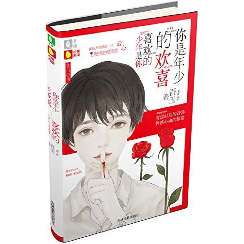 二手你是年少的欢喜,喜欢的少年是你 吾玉 吉林摄影出版社