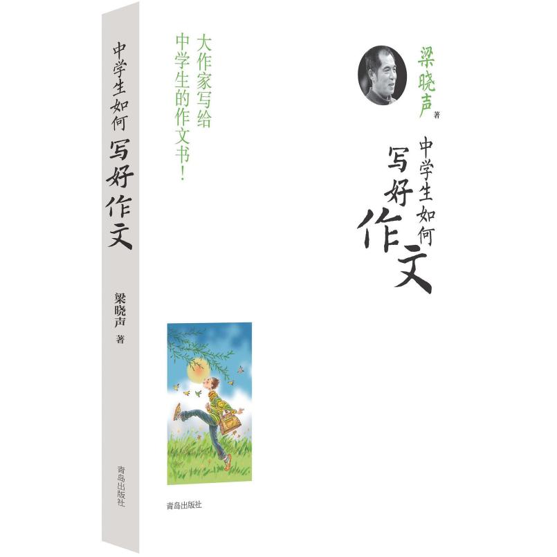 二手中学生如何写好作文 梁晓声 青岛出版社