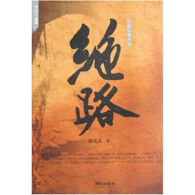 二手绝路 唐达天 现代出版社