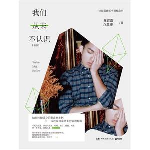二手我们从未不认识 林宥嘉/万金油 湖南文艺出版社