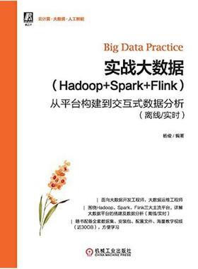 二手实战大数据(Hadoop+Spark+Flink) 杨俊 机械工业出版社
