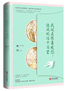 二手我还是很喜欢你 像风吹过千万里 晚情 青岛出版社