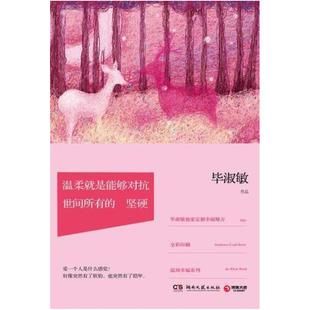 二手温柔就是能够对抗世间所有的坚硬 毕淑敏 湖南文艺出版社