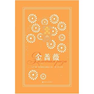 二手金蔷薇 [苏]康·帕乌斯托夫斯基 四川人民出版社