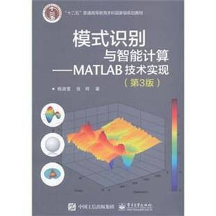 二手模式识别与智能计算—MATLAB技术实现(第3版) 杨淑莹 电子工