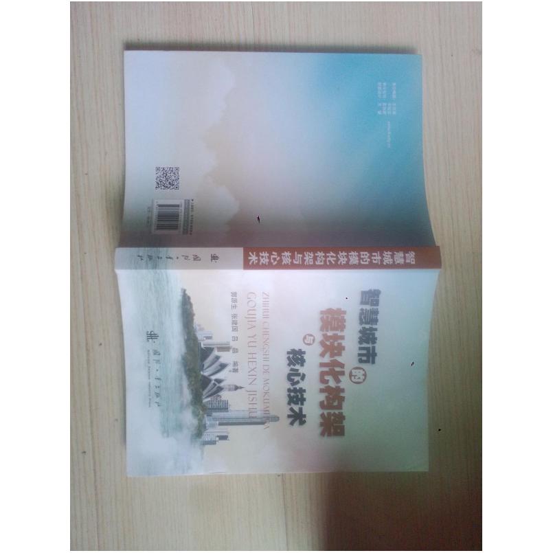 二手智慧城市的模块化构架与核心技术 吴循 国防工业出版社
