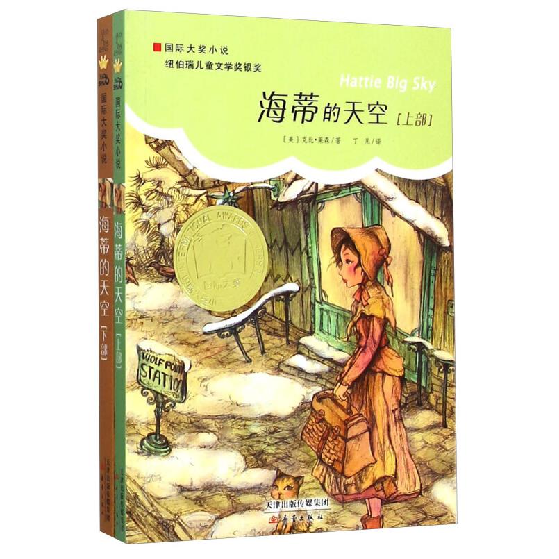 二手海蒂的天空(上下册) 克比莱森 新蕾出版社