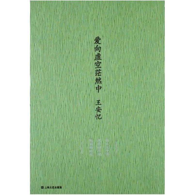 二手爱向虚空茫然中 王安忆 上海文艺出版社
