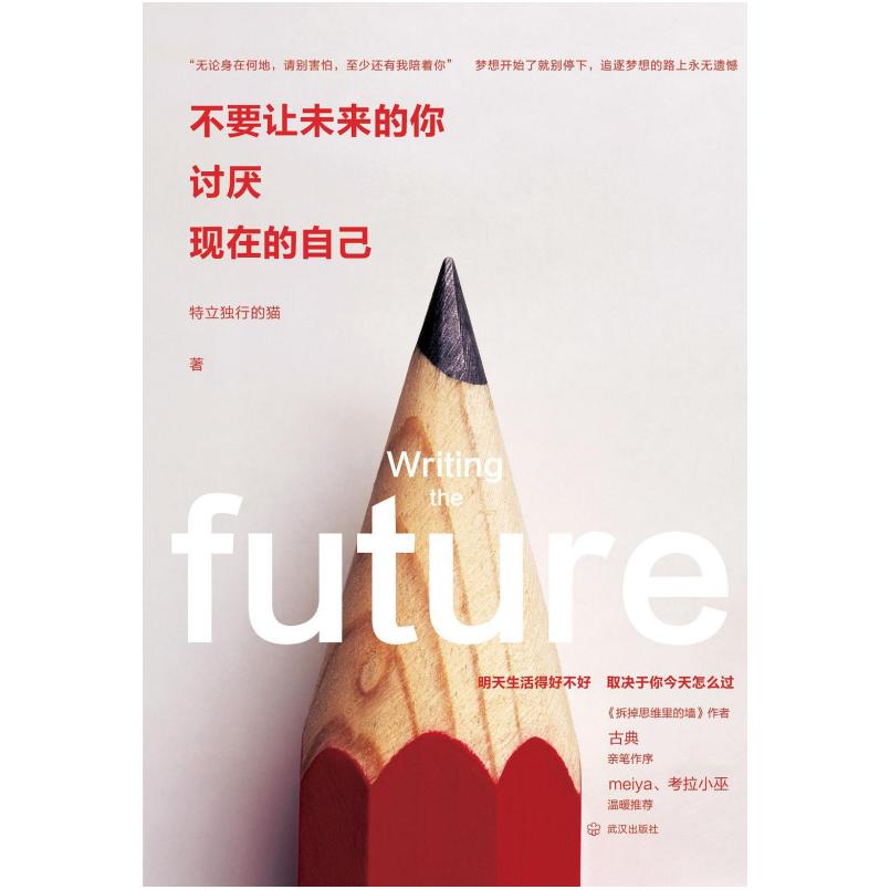 二手不要让未来的你，讨厌现在的自己 特立独行的猫 武汉出版社