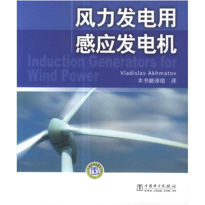 二手风力发电用感应发电机 [美]弗拉基斯拉夫·阿赫玛托夫 中国电