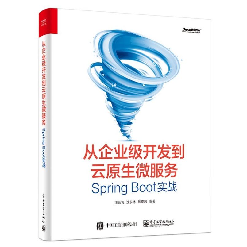 二手从企业级开发到云原生微服务:SpringBoot实战 汪云飞 电子工