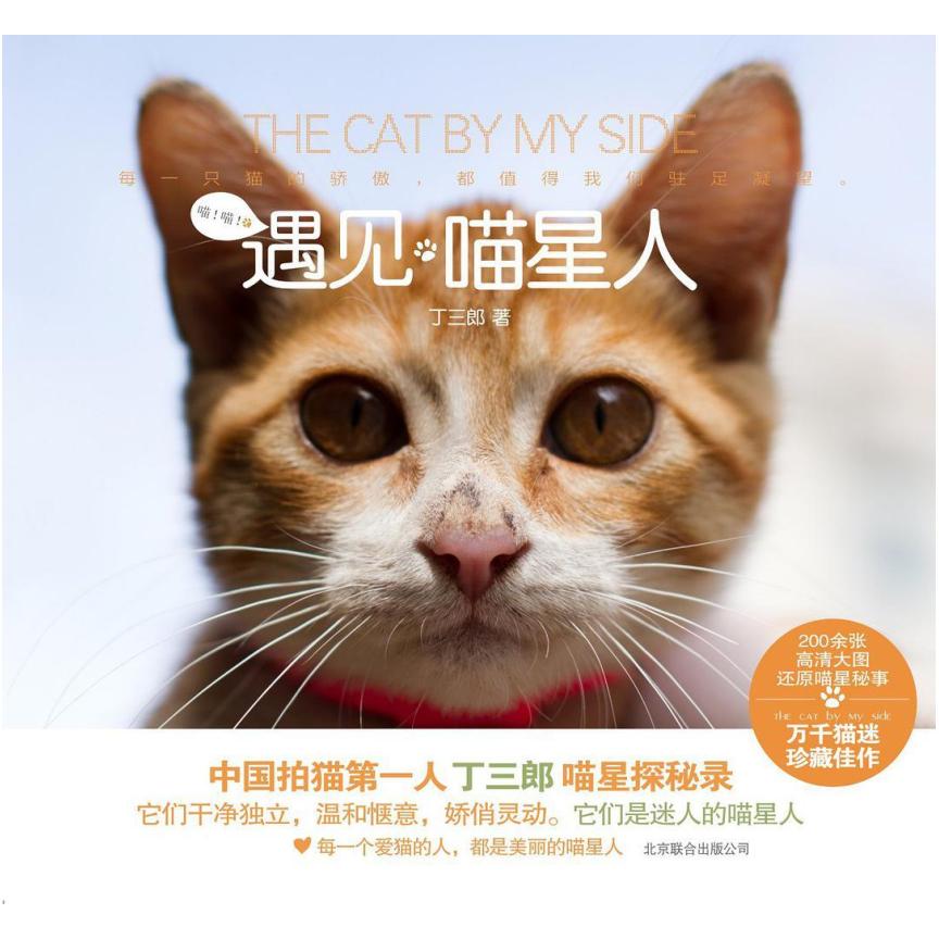 二手遇见喵星人 丁三郎 北京联合出版公司