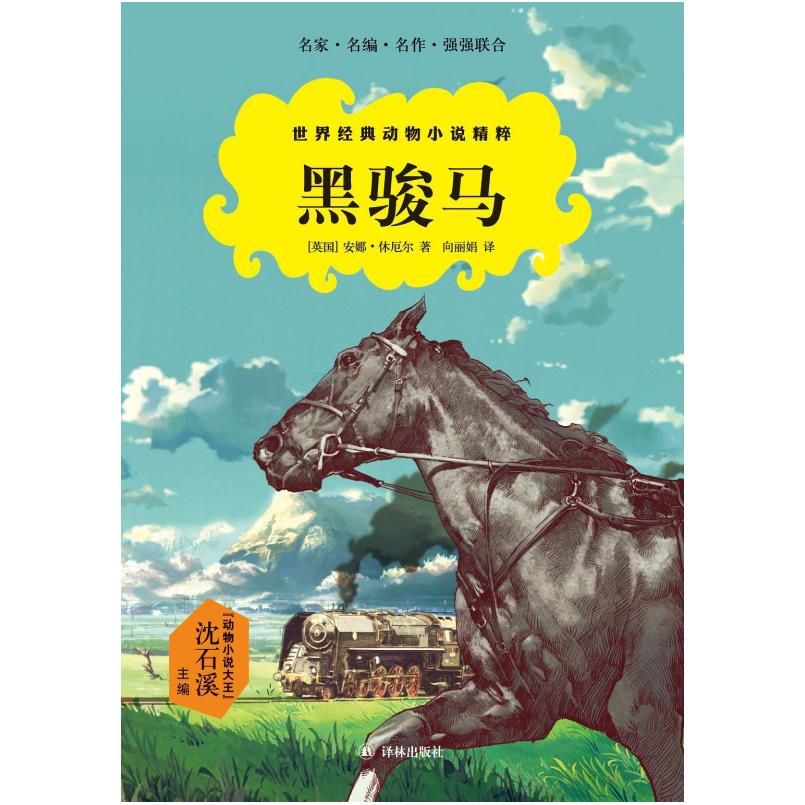 二手黑骏马 [英]安娜·休厄尔 译林出版社