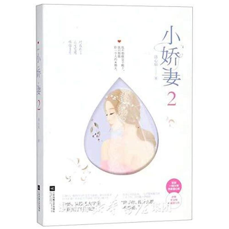 二手小娇妻(2): 洛心辰 江苏凤凰文艺出版社
