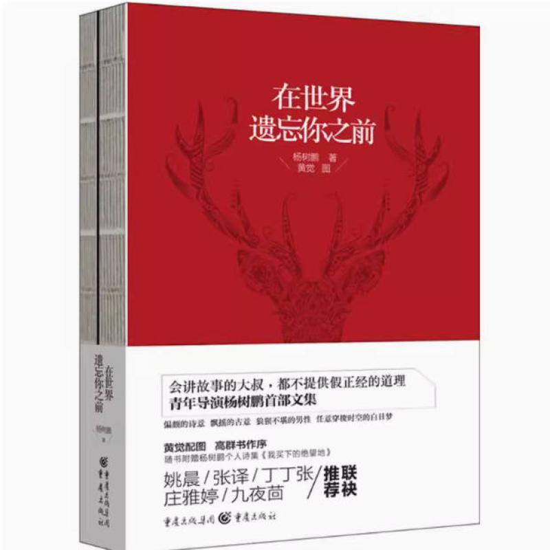 二手在世界遗忘你之前 杨树鹏 重庆出版社