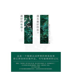 二手最好的年华，遇见最好的你 沉埃 金城出版社