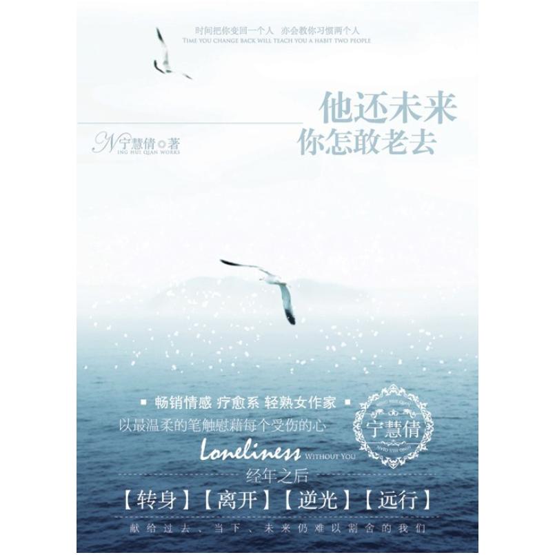 二手他还未来你怎敢老去 宁慧倩 长江文艺出版社