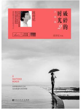 二手破碎的时光2 沈肯尼 百花洲文艺出版社