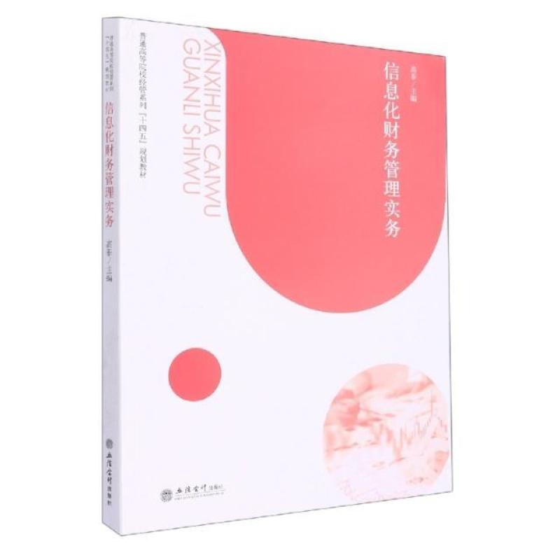 二手信息化财务管理实务 高菲 立信会计出版社