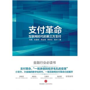 二手支付革命 马梅 中信出版社